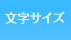 文字サイズ